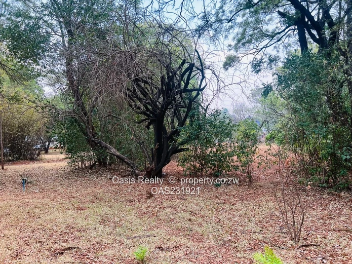 Prime 4,794sqm Development Land for Sale – Helensvale