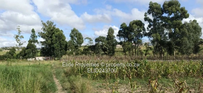 10ha Marondera Farm — Dam, Orchard, Vineyard & Homestead (Sole Mandate)