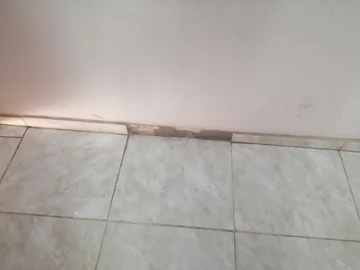 Flat & Apartment
