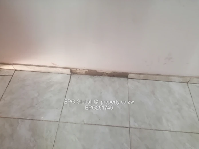 Solid one bedroom flat available for letting 
