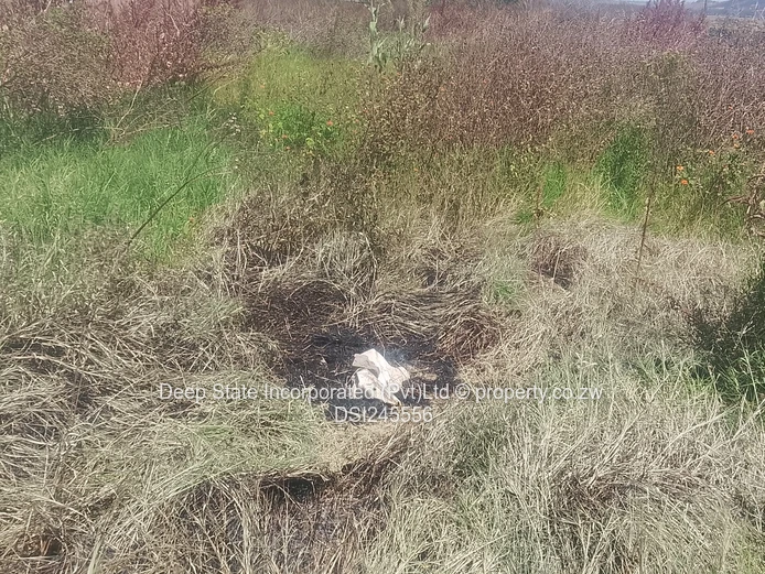 Westgate ocean park stand for sale (gated community)