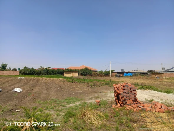 Stands & Residential Land