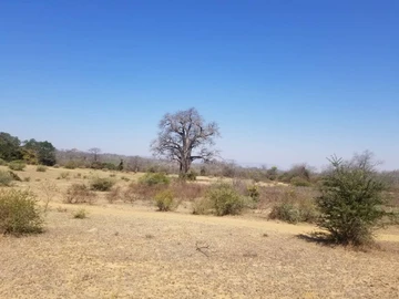 Farm & Agricultural Land