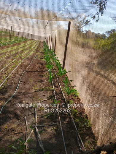  Prime 5-Acre Plot For Sale | Douglasdale