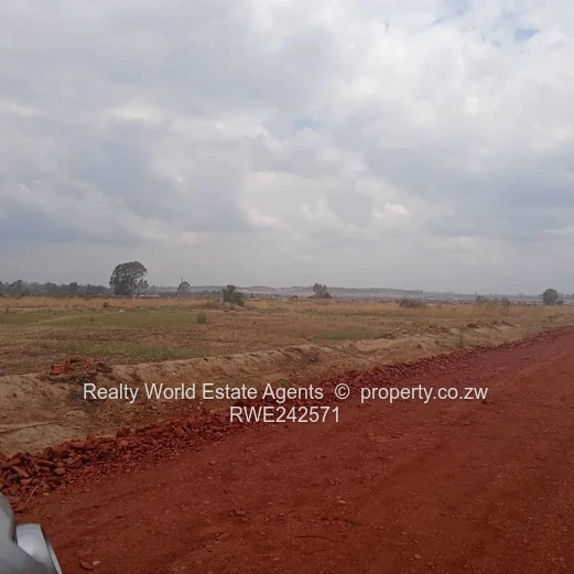 Spitzkop Stands for Sale