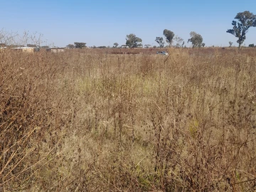 Stands & Residential Land