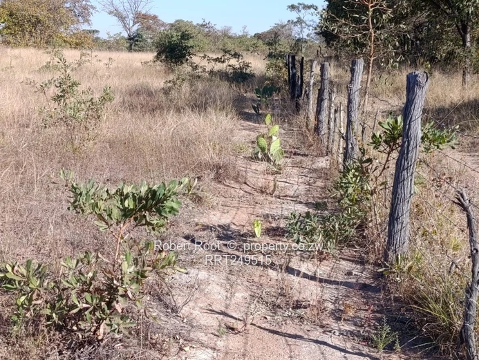 Agro Residential Plot - 178 Clon Moran, Kadoma 