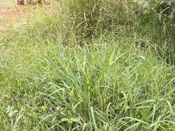 Commercial & Industrial Land