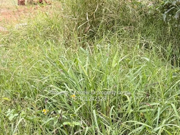 Prime 2000m² Commercial/Industrial Lot in Avondale