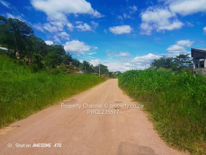 Sloping 4000m² Carrick Creagh — Subdividable, Tarred Road