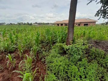 Stands & Residential Land