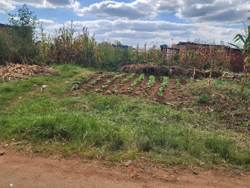 Commercial & Industrial Land
