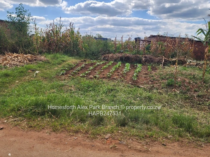 Commercial stand for sale 