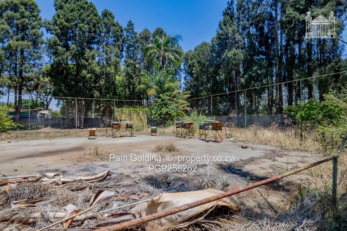 Excellent Development Potential In Marlborough (Sole Mandate)