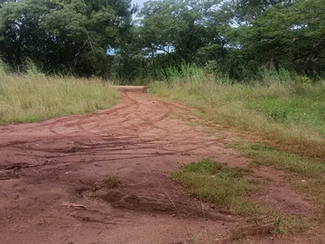 Farm & Agricultural Land