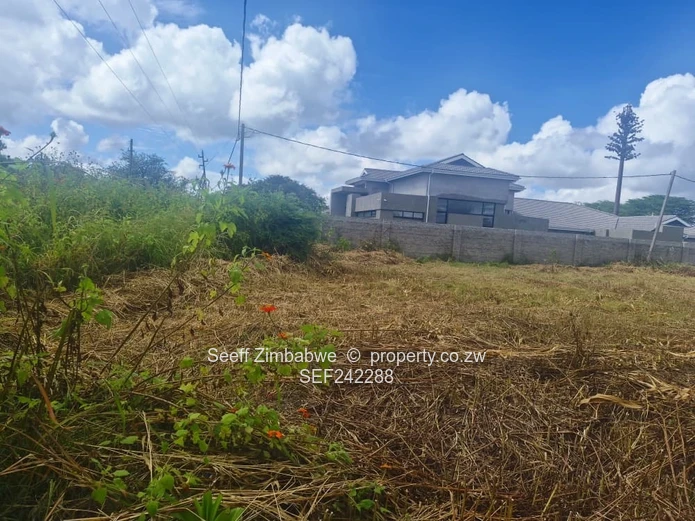 Prime 1600 m2 Serviced Stand — Main Road Frontage, Walled, Marlborough