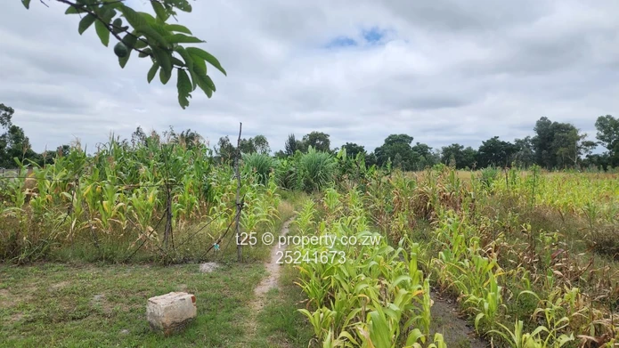 Waterfalls Uplands Stands for Sale