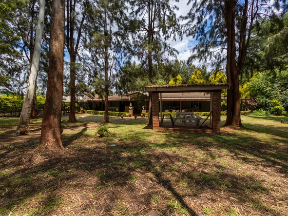 Commercial Property