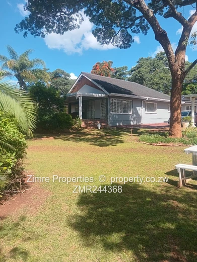IMMACULATE HOUSE avail for 1 Sept 2026 (Sole Mandate)