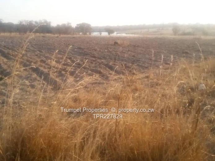 Plot For Sale