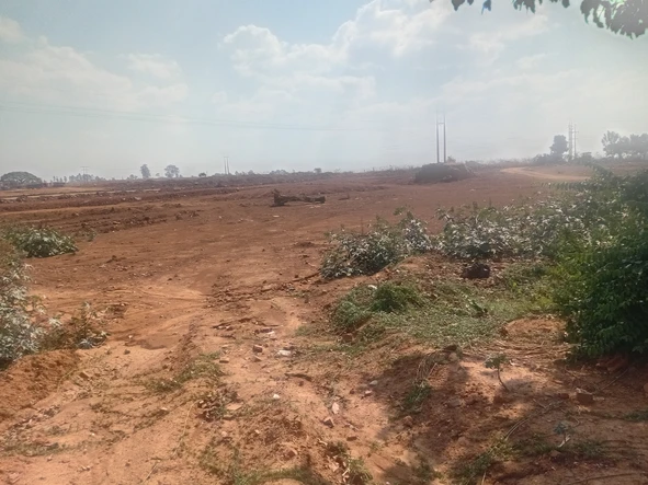 Commercial & Industrial Land