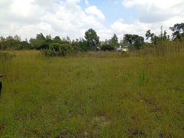 Farm & Agricultural Land