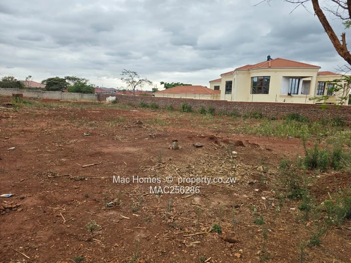 Ready to Build Stand for Sale
