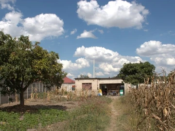 Stands & Residential Land