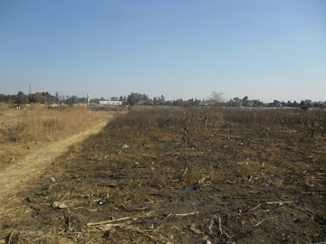 Commercial & Industrial Land