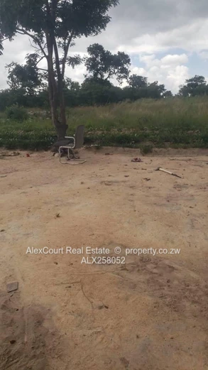 Discover This 1.3ha Agricultural Plot 