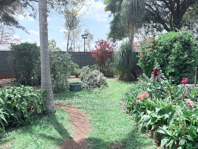 Dandaro Casia to Rent