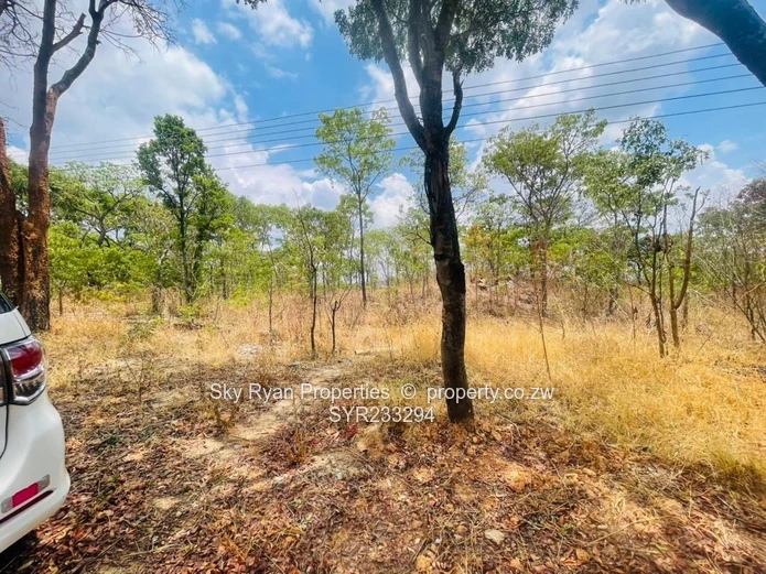 Glen Lorne  Stand For Sale (Sole Mandate)