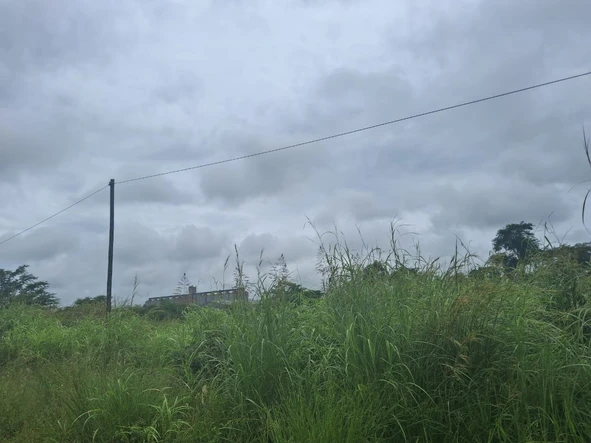 Commercial & Industrial Land