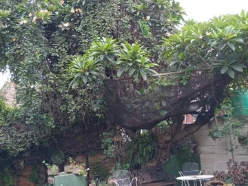 2 Bedroom Garden Flat