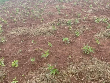 Farm & Agricultural Land