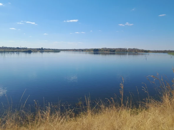 Farm & Agricultural Land