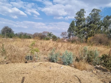 Stands & Residential Land