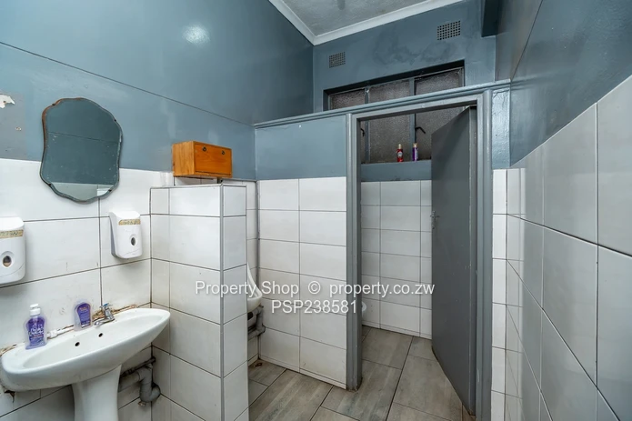 Prime High Visibility Showroom