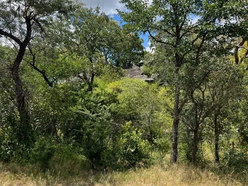 Farm & Agricultural Land