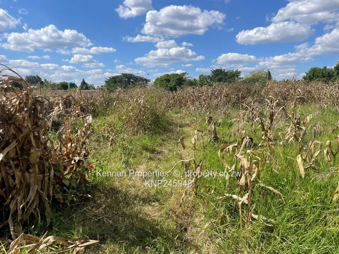 Old Malborough Stand For Sale  