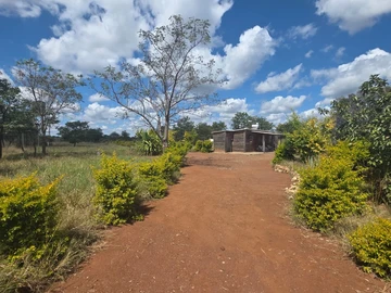Farm & Agricultural Land