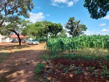 3 Bedroom Flat & Apartment