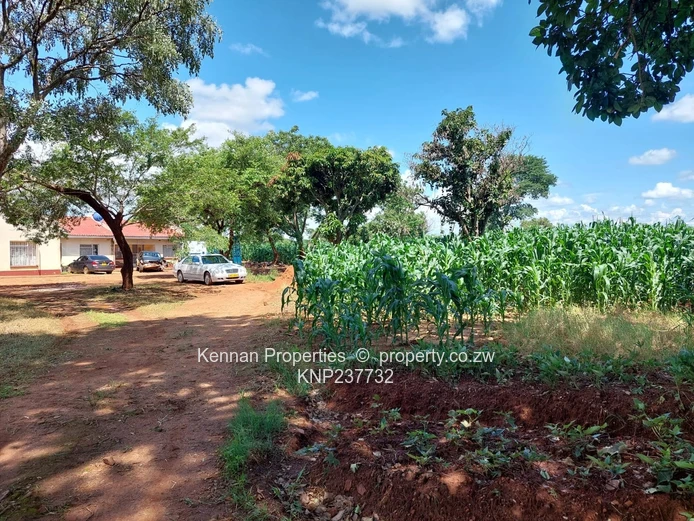 Perfect Investment Opportunity!!!