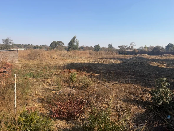 Stands & Residential Land