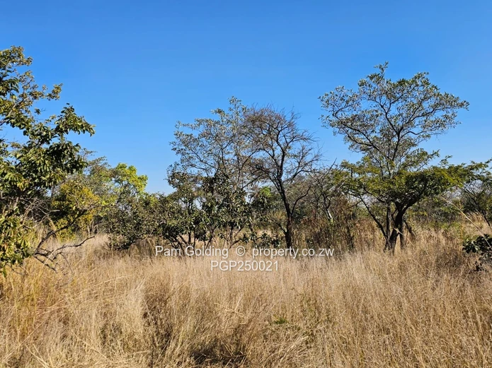 Stunning Prime Residential Land