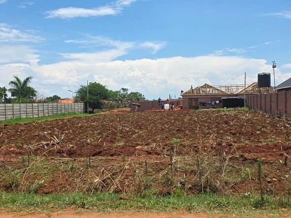 Stands & Residential Land