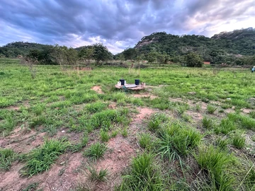 Farm & Agricultural Land