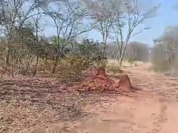 Farm & Agricultural Land