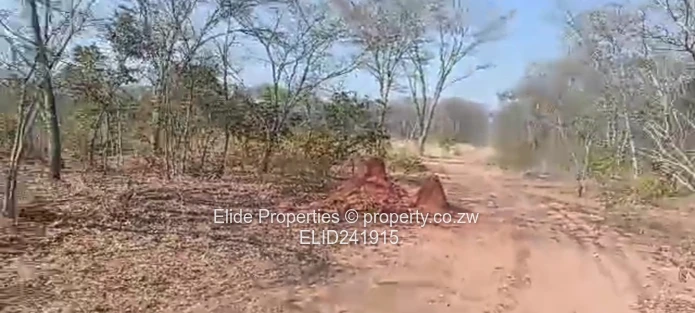 1,130ha Gokwe Farm — Gravel Roads, Grazing & Kraal (Sole Mandate)