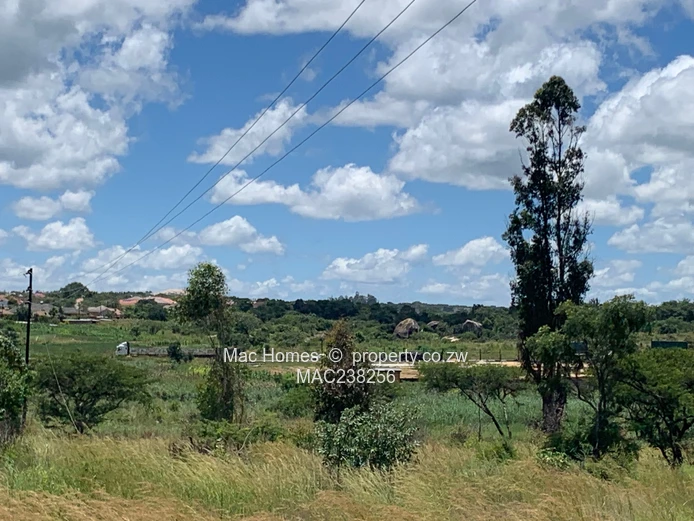 Rusape Land For Sale (Sole Mandate)